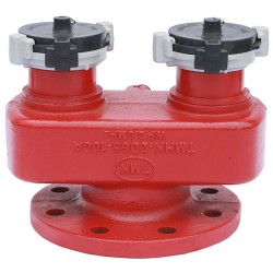 Đầu trụ tiếp nước 2 cửa DN65 TOMOKEN TMHK-2D65-100A