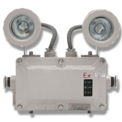 Đèn khẩn cấp phòng chống cháy nổ PARAGON EEW ESL102