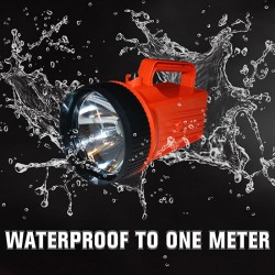 Đèn pin an toàn chống cháy nổ Bright Star 2206 Lantern 6V