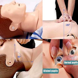 Mô hình mô phỏng hồi sức tim phổi toàn thân có monitor 170cm