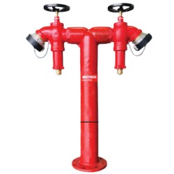 Trụ tiếp nước chữa cháy cố định 2 cửa Multron PH-SQS 100VS-PRV