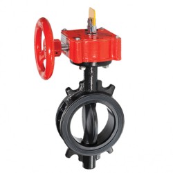 Van bướm DN300 TYCO BFV-N