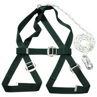 Dây đai toàn thân một móc nhỏ Blue Eagle NP787