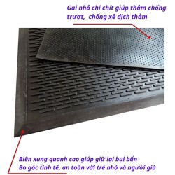 Thảm chùi chân cao su trước cửa H701F