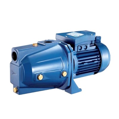 Máy bơm dân dụng Pentax CAMT 100 (2HP)