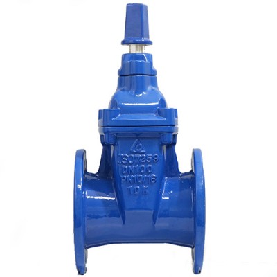 Van cổng ty chìm nắp chụp DN65 SHINYI RVCX-0065