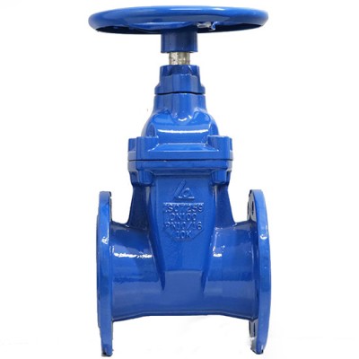 Van cổng ty chìm tay quay DN600 SHINYI RVHX -0600