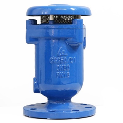 Van xả khí kép mặt bích DN300 SHINYI ARCX-0300