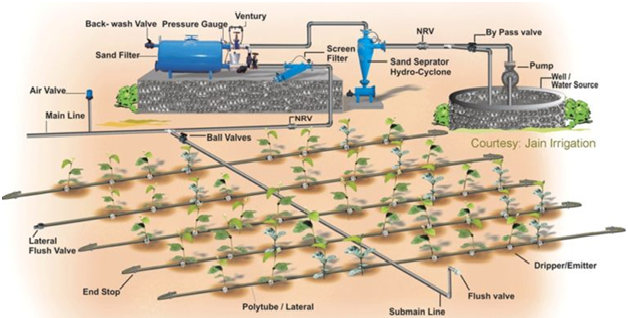 Hệ thống tưới nhỏ giọt là gì 2