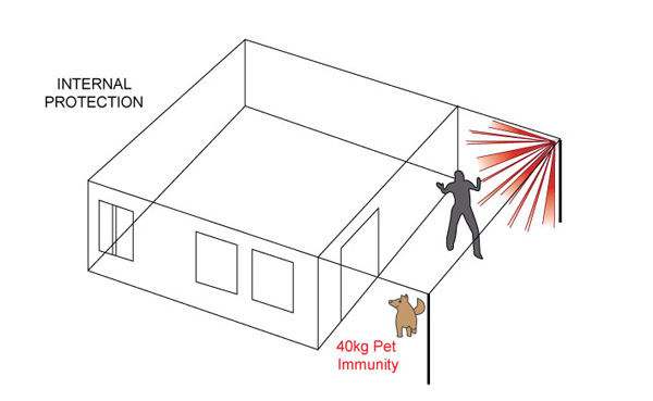 Đầu dò chuyển động ngoài trời Paradox DG85 1