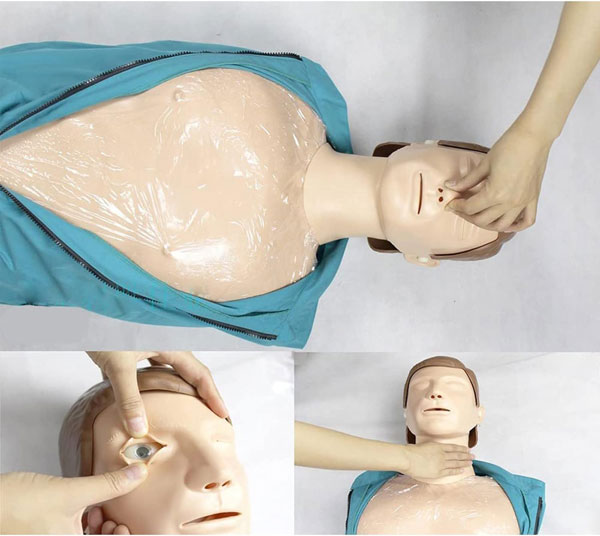 Mô hình mô phỏng hồi sức tim phổi bán thân có monitor 3