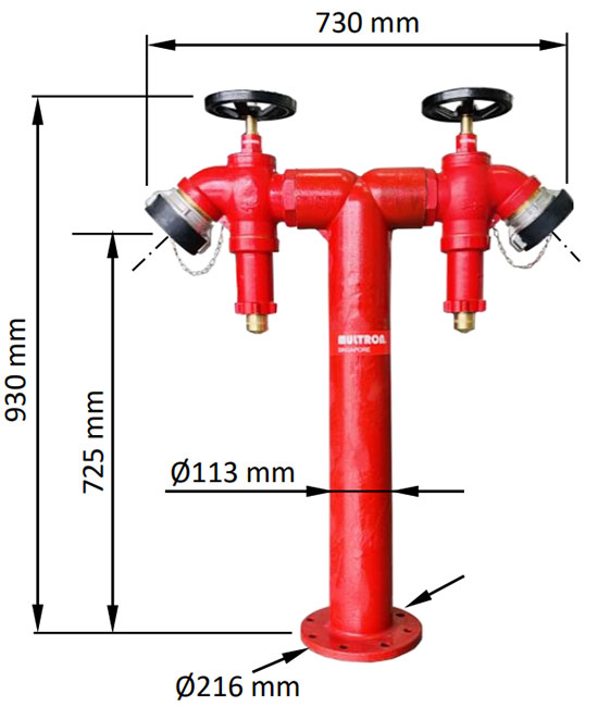 Trụ tiếp nước chữa cháy cố định 2 cửa Multron PH SQS 100VS PRV
