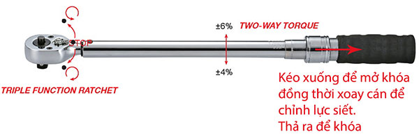 Cần xiết lực dài 1700mm Licota AQP B61000 1