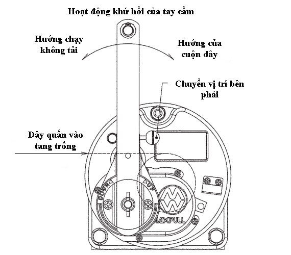 Hoạt động quấn dây của tay quay bánh cóc