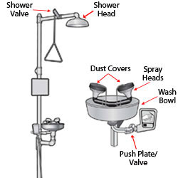 cau tao voi rua mat khan cap
