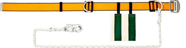 day dai chong roi nga blue eagle np737