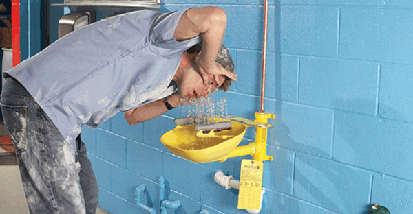 Vòi sen tắm và bồn rửa mắt khẩn cấp SYSBEL WG7053FY 5