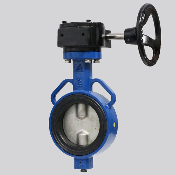 Van bướm tay quay DN50 SHINYI WBGS 0050 2