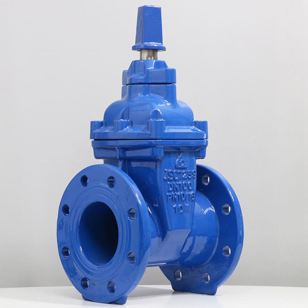 Van cổng ty chìm nắp chụp SHINYI RVCX 2