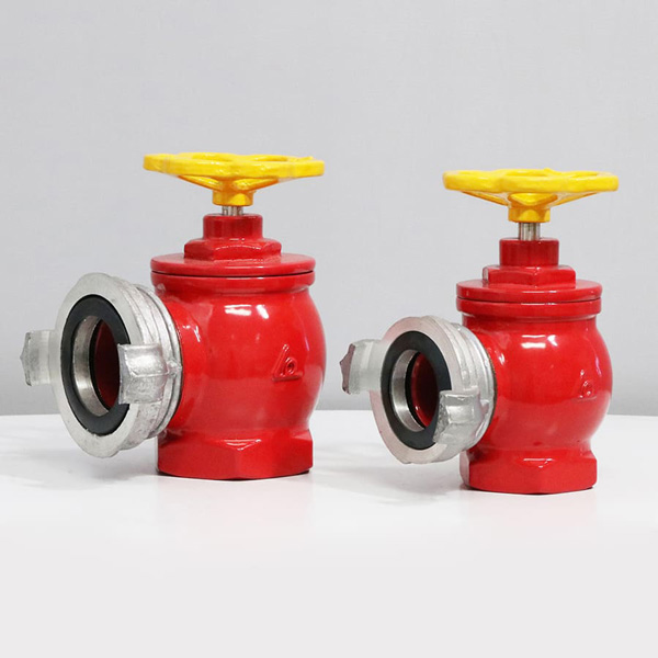 Van góc có ngàm DN50 SHINYI FHIX 0050 1