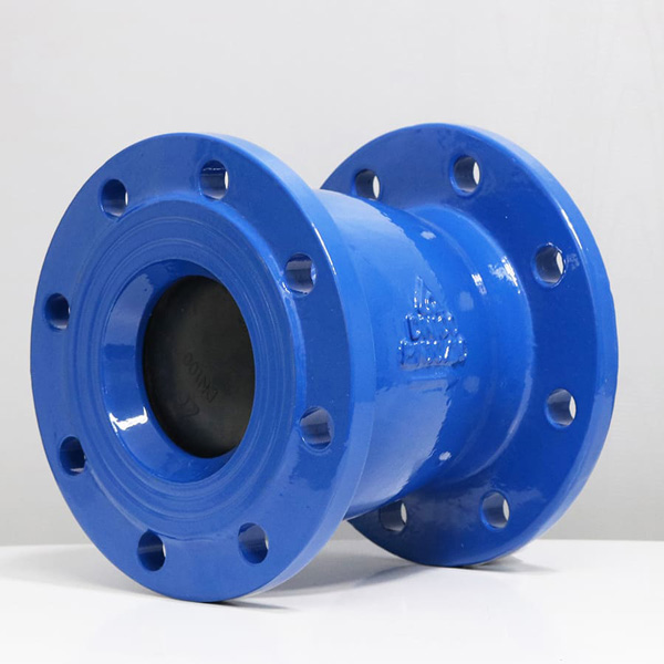 Van một chiều lò xo DN50 SHINYI FHFA 0050 2