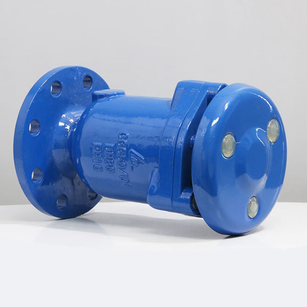 Van xả khí kép mặt bích DN50 SHINYI ARCX 0050 1