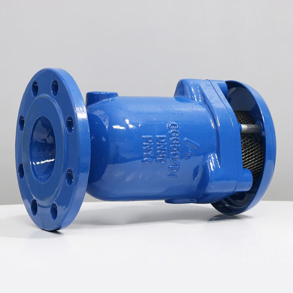 Van xả khí kép mặt bích DN50 SHINYI ARCX 0050 2