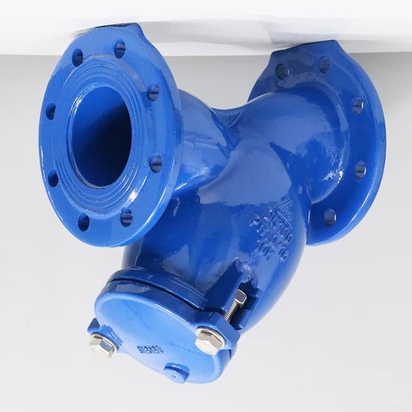 Van Y lọc DN50 SHINYI YSTX 0050 1