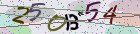 Mã bảo mật